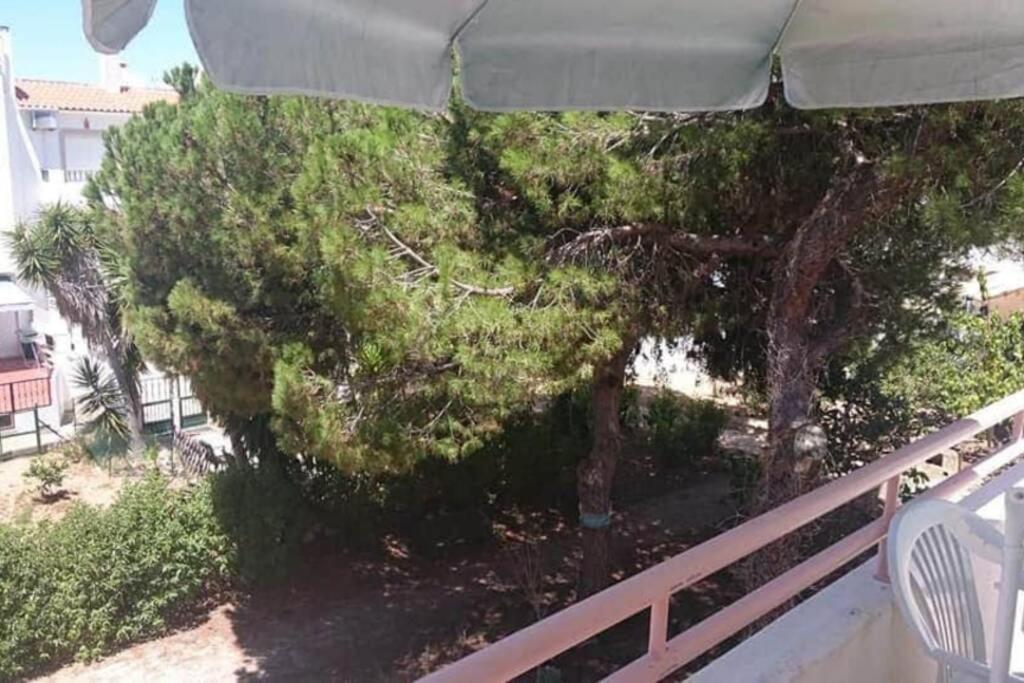 אלבופיירה Falesia - Near The Beach - The Gavel Apartment מראה חיצוני תמונה